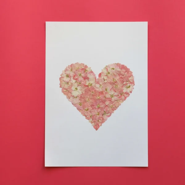 Herbier l'amour – Image 2