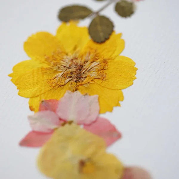 Herbier Ode à la nature – Image 4