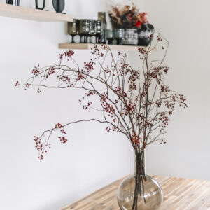 Branche de baies rouges (ilex verticillata)